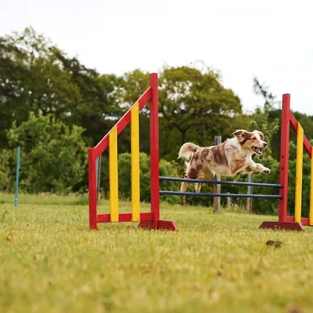 Дом отдыха Hof Koehne - Doppelhaus - Doppelhexe *