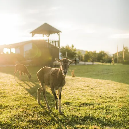 Hof Koehne - Doppelhaus - Doppelhexe Дом отдыха Шмалленберг