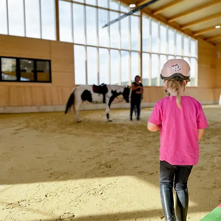 Дом отдыха Hof Koehne - Doppelhaus - Doppelhexe Шмалленберг