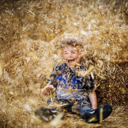Hof Koehne - Doppelhaus - Doppelhexe Дом отдыха Шмалленберг