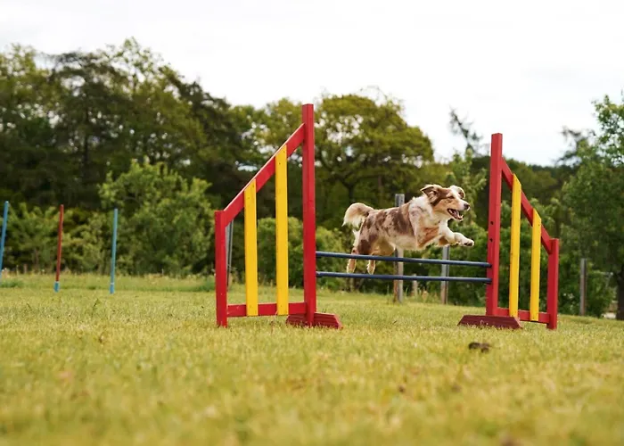 Vakantiehuis Hof Koehne - Doppelhaus - Doppelhexe *