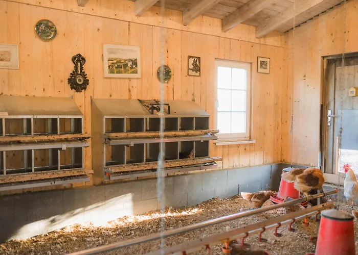 Hof Koehne - Doppelhaus - Doppelhexe * Schmallenberg