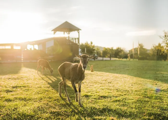 Hof Koehne - Doppelhaus - Doppelhexe Vakantiehuis Schmallenberg